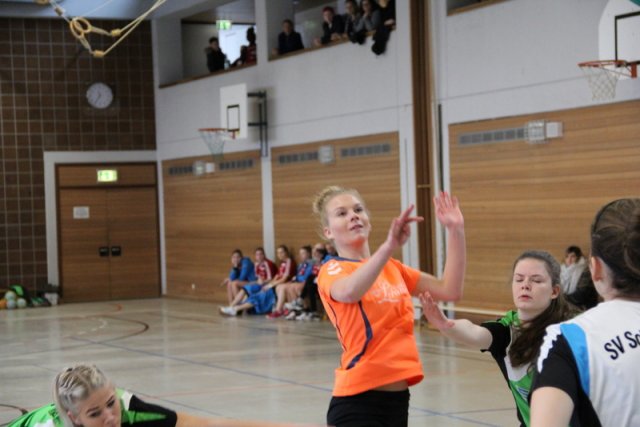 2017_01_08 Landesliga Frauen u. J19